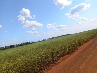 rea para Venda, em , bairro Paraguay