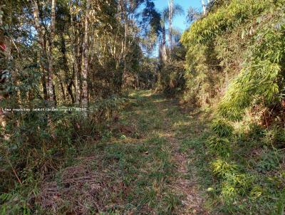 rea Rural para Venda, em Campo Magro, bairro Conceio dos Tlios