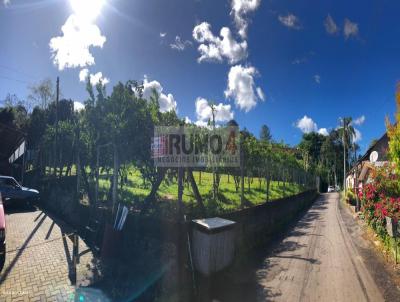 Terreno para Venda, em Trs Coroas, bairro guas Brancas