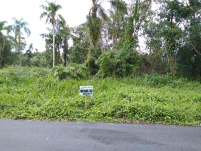 Terreno para Venda, em Barra Velha, bairro QUINTA DOS AORIANOS