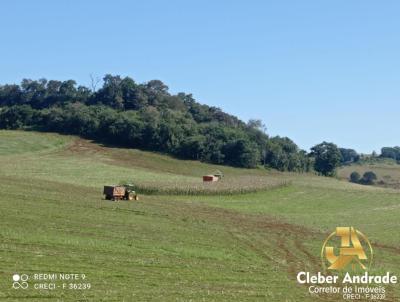 Fazenda para Venda, em Porto Barreiro, bairro RURAL