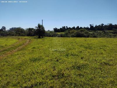 rea Rural para Venda, em Tuparendi, bairro Esquina Dumke