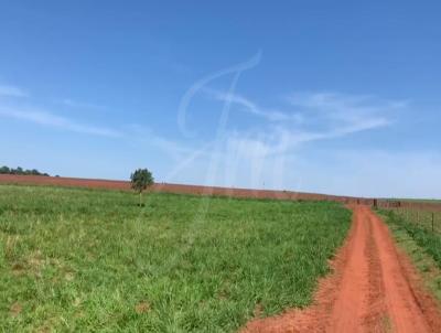 Fazenda para Venda, em Santa Vitria, bairro Fazenda para Venda Santa Vitoria, 3 dormitrios, 3 banheiros, 1 sute, 4 vagas