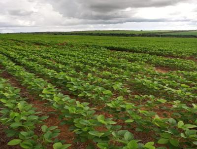 Fazenda para Venda, em Formoso, bairro Formoso