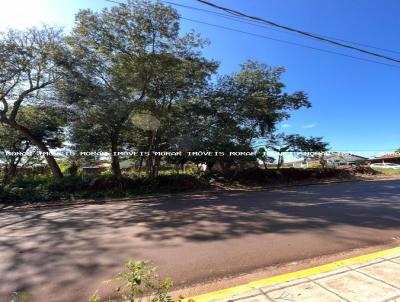 Terreno para Venda, em Santa Rosa, bairro Bairro Ouro Verde
