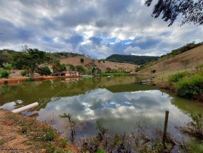 Stio / Chcara para Venda, em Tefilo Otoni, bairro Zona Rural