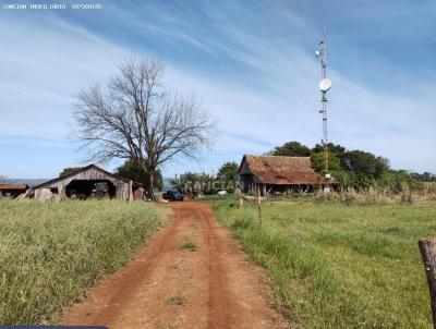 rea Rural para Venda, em Novo Machado, bairro Limoeiro