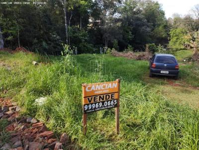 Terreno para Venda, em Santa Rosa, bairro Glria