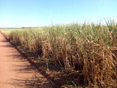 Fazenda para Venda, em Auriflama, bairro Fazenda para Venda Auriflama