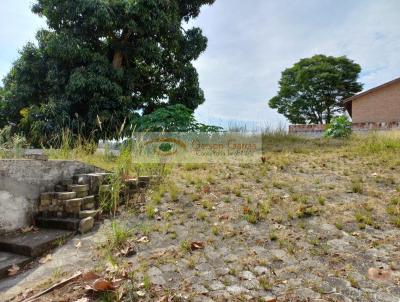 Terreno para Venda, em So Paulo, bairro Vila Albertina