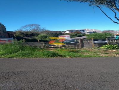 Terreno para Venda, em Guarapuava, bairro Alto da XV
