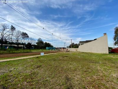 Terreno para Venda, em Santa Rosa, bairro Cruzeiro