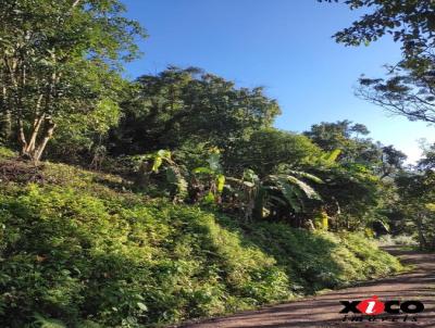 Stio / Chcara para Venda, em Picada Caf, bairro Serra Verde