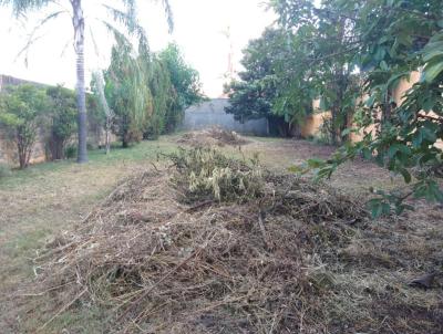 Terreno para Venda, em Pirassununga, bairro Centro