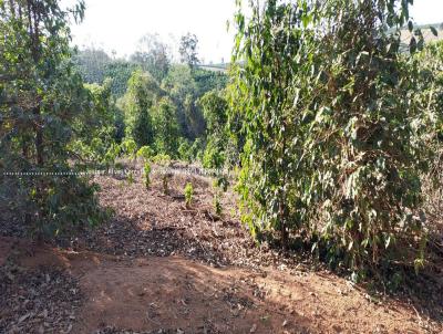 Stio para Venda, em Muzambinho, bairro 6.8 km de Muzambinho