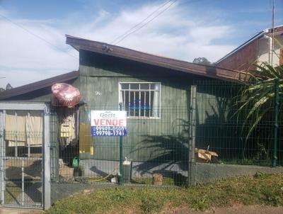 Terreno para Venda, em Quatro Barras, bairro Borda do Campo