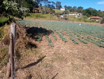 Terreno para Venda, em Toledo, bairro Moinho