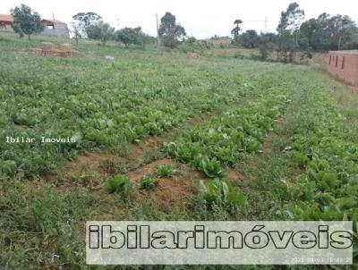 Terreno para Venda, em , bairro ibina