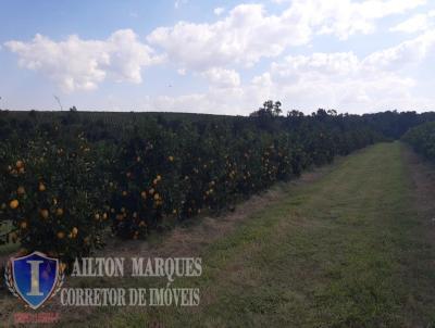 Fazenda para Venda, em Avar, bairro RURAL, 4 banheiros