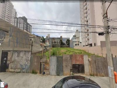 Terreno para Locao, em So Bernardo do Campo, bairro Baeta Neves