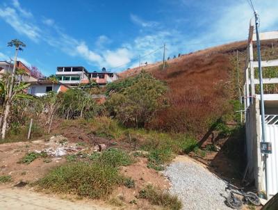 Terreno para Venda, em Nova Friburgo, bairro Fazenda da Laje