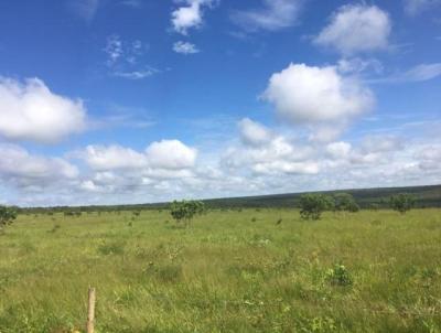 Fazenda para Venda, em Prata, bairro Fazenda para Venda Municipio do Prata MG, 2 dormitrios, 1 banheiro, 10 vagas