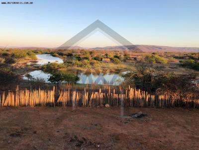 Fazenda para Venda, em Bom Jesus da Lapa, bairro Zona Rural