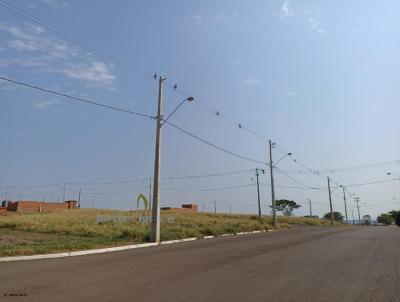 Terreno para Venda, em Presidente Venceslau, bairro Jardim Iguatemi