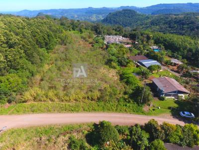 Stio / Chcara para Venda, em Picada Caf, bairro Morro Bock