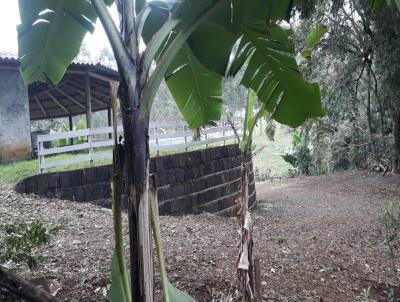 rea Rural para Venda, em Nova Itaberaba, bairro Linha Barra do Taquara
