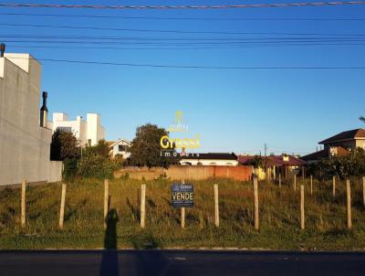 Terreno para Venda, em Imb, bairro Centro Imb