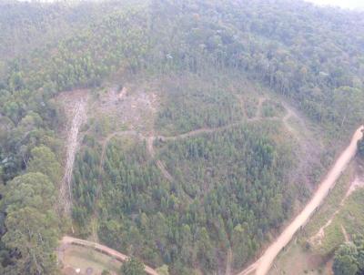 Terreno para Venda, em Jarinu, bairro Soares