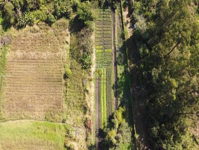 Terreno para Venda, em Taubat, bairro Areao