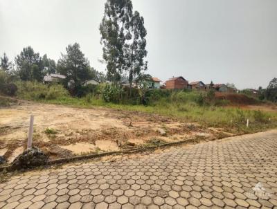 Terreno para Venda, em Presidente Getlio, bairro Pinheiro