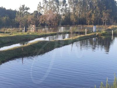 Fazenda para Venda, em Lagoa Santa, bairro Fazenda a Venda Municipio de Lagoa Santa, Goias GO