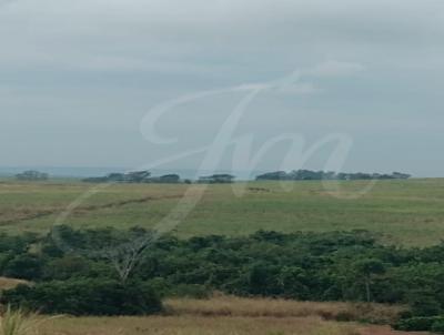 Fazenda para Venda, em Itpolis, bairro Fazenda para Venda Itapolis, 2 dormitrios, 1 banheiro, 6 vagas