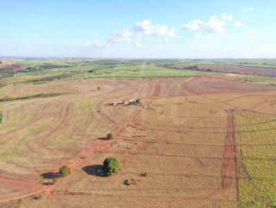 Fazenda para Venda, em Pereira Barreto, bairro Fazenda para Venda Pereirra Barreto