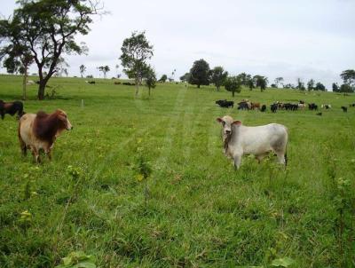 Fazenda para Venda, em Tarabai, bairro Fazenda para Venda Tarabai,, 2 dormitrios, 2 banheiros, 13 vagas