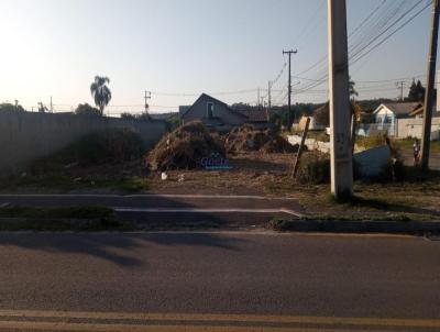 Terreno para Venda, em Campina Grande do Sul, bairro Jardim Paulista