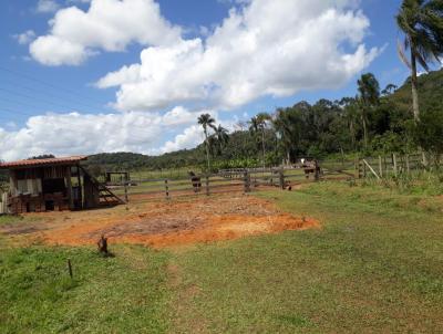 Chcara para Venda, em Guaramirim, bairro Caixa D gua, 2 dormitrios, 1 banheiro