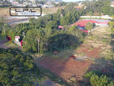 Terreno Comercial para Venda, em Laranjeiras do Sul, bairro .