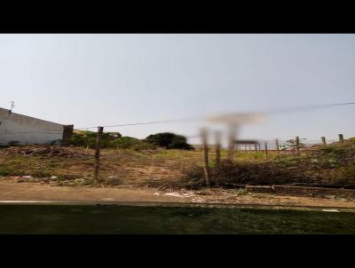 Terreno Comercial para Venda, em , bairro Parque Alto bela vista