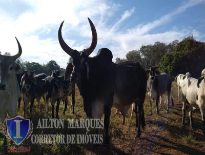 Fazenda para Venda, em Avar, bairro RURAL