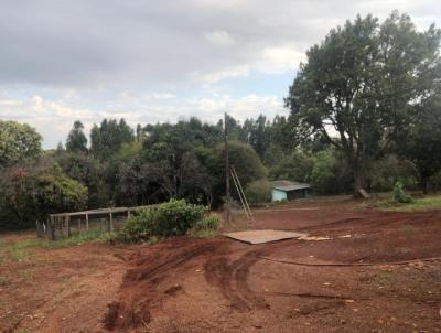 Chcara para Venda, em Campo Mouro, bairro Jardim Laura, 4 dormitrios, 2 banheiros, 1 sute, 2 vagas