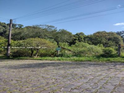 Terreno para Venda, em Caxias do Sul, bairro Esplanada