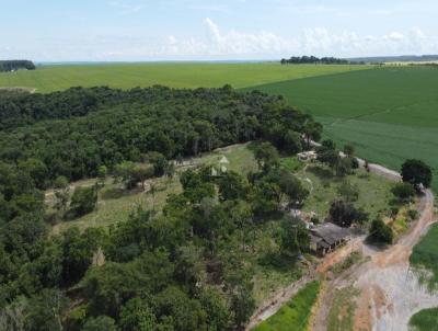 Fazenda para Venda, em Silvnia, bairro Municpio de Silvania