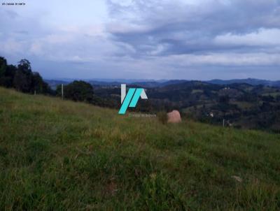 Chcara para Venda, em Bonfim, bairro Zona Rural