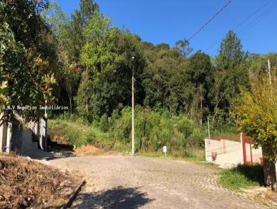 Terreno para Venda, em Caxias do Sul, bairro Ana Rech