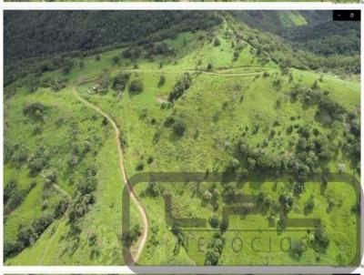 Fazenda para Venda, em Pitanga, bairro .