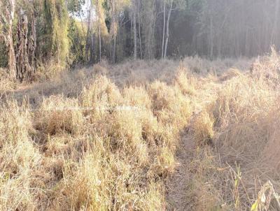 Stio para Venda, em Guaxup, bairro 15 km de Guaxup